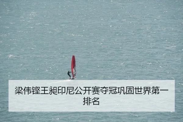 梁伟铿王昶印尼公开赛夺冠巩固世界第一排名 - kaiyun